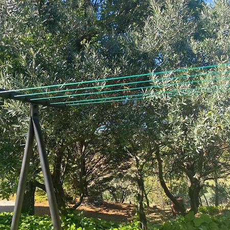 Petit Coin De Paradis En Provence Aups Exterior photo
